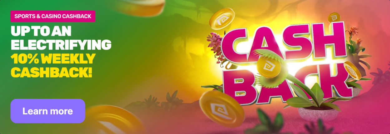 Alles über das Programm Bongo Casino Bonus